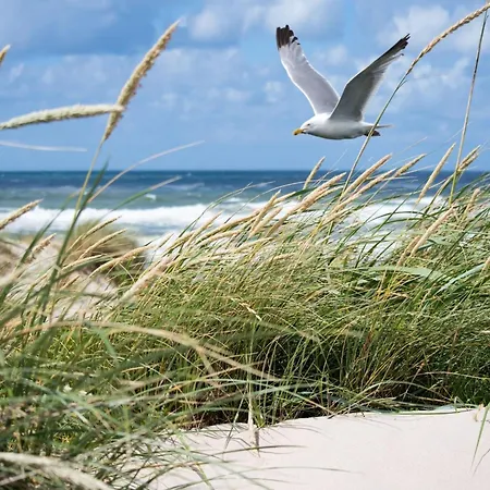 Penthouse In Near The Knokke-Heist