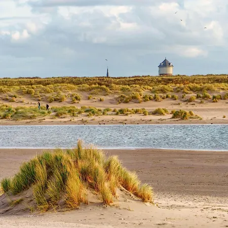 Penthouse In Near The