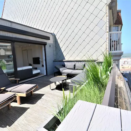 Penthouse With Spacious Terrace Near Apartment